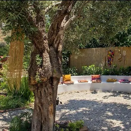 Apartment Gammi Hayitbuekue *